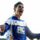 Nikola Zigic