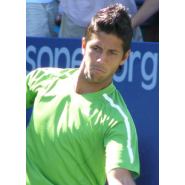 Verdasco, Fernando