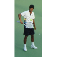 Devvarman, Somdev